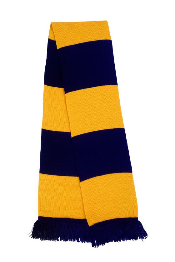 R146X týmová šála